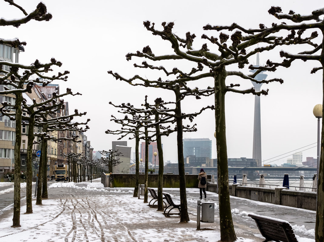 Набережная Дюссельдорфа - Witalij Loewin Набережная Дюссельдорфа - Witalij Loewin