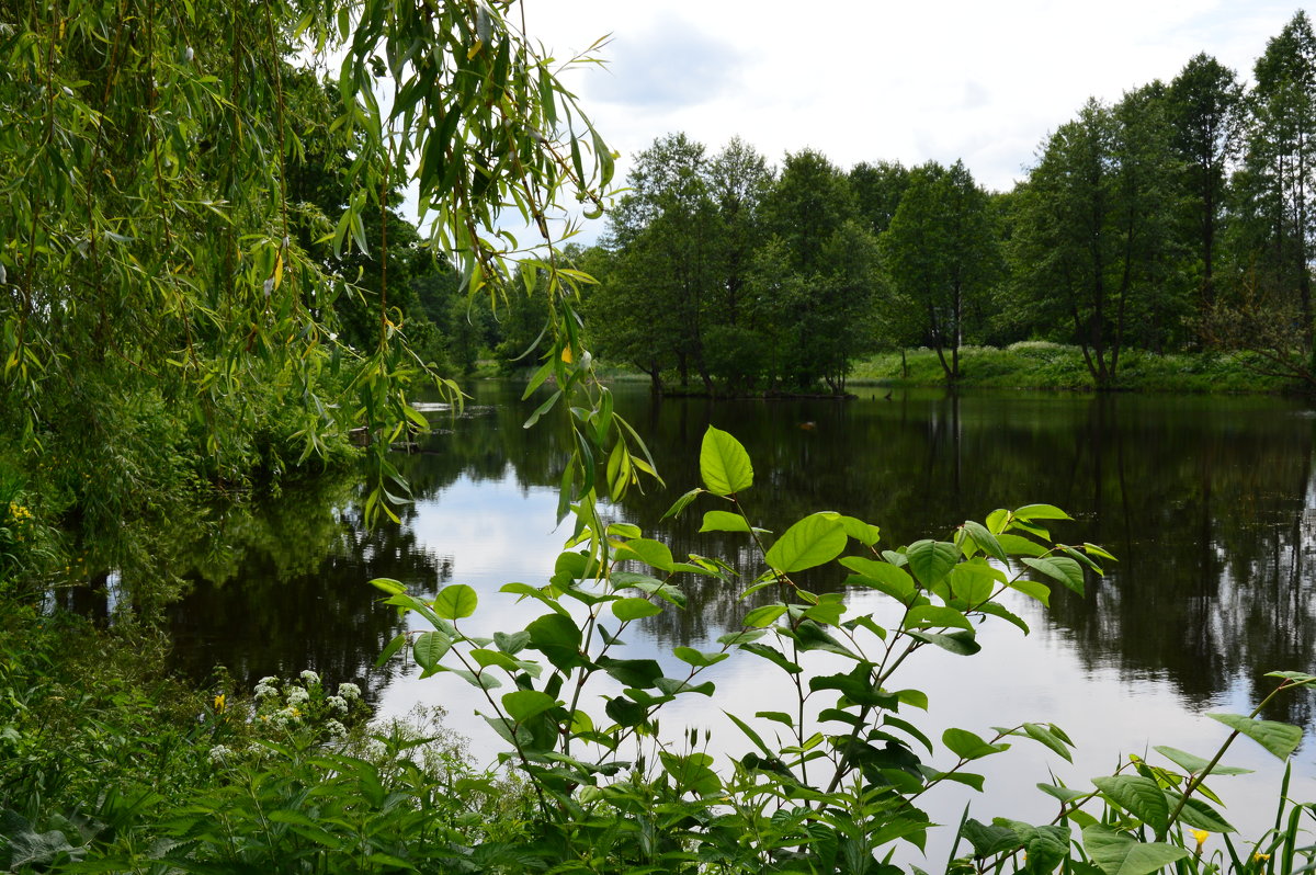 ... - Алексей Жуков