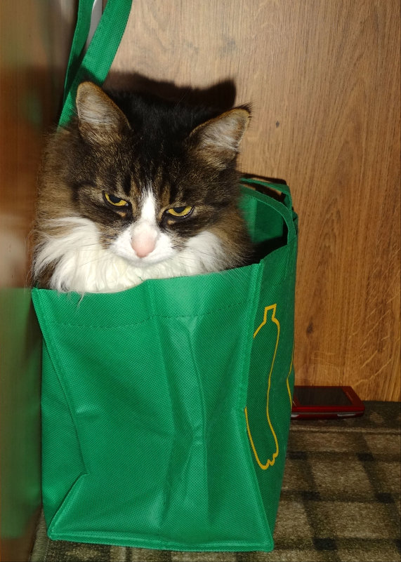 *** - Наталия Короткова