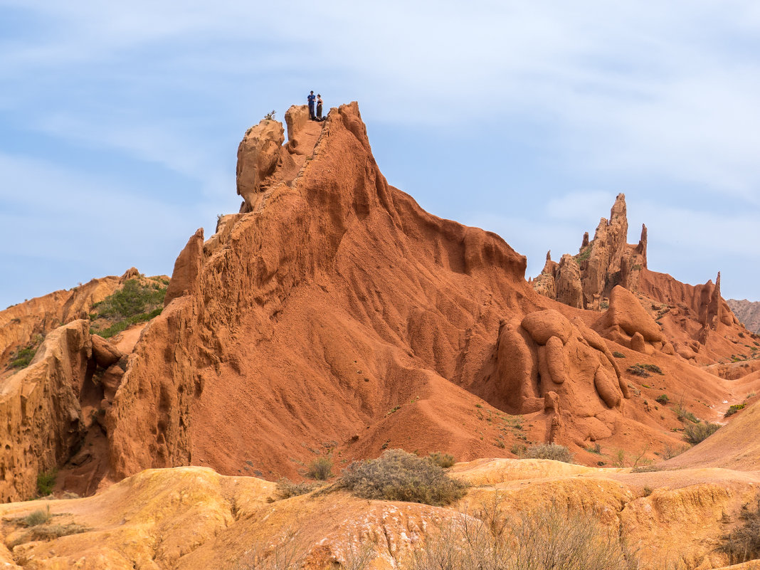 ***** - Александр Елизаров ***** - Александр Елизаров