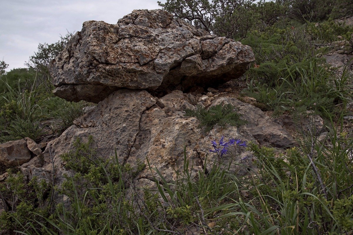 Весна в горах - Александр Грищенко Весна в горах - Александр Грищенко