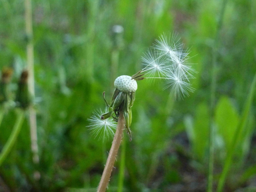 всё проходит... - Алексей Логинов