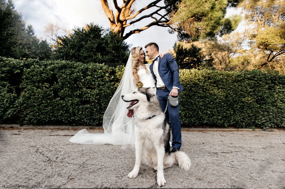 Wedding day - Андрей Титов