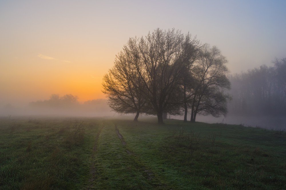Предрассветное время - Сергей Корнев Предрассветное время - Сергей Корнев