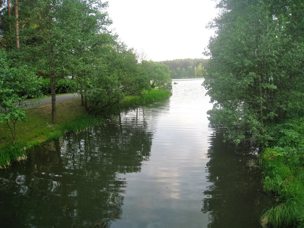 Беларуссия 2015 - Ирина 