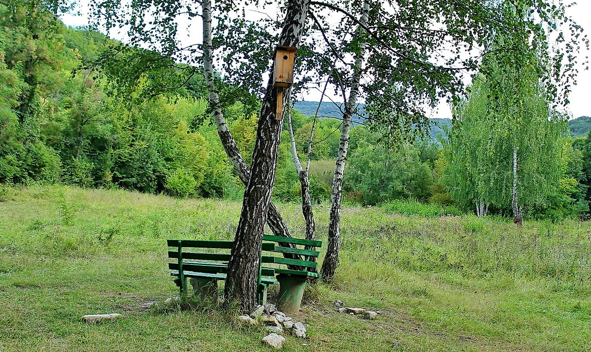 *** - Солнечный Странник