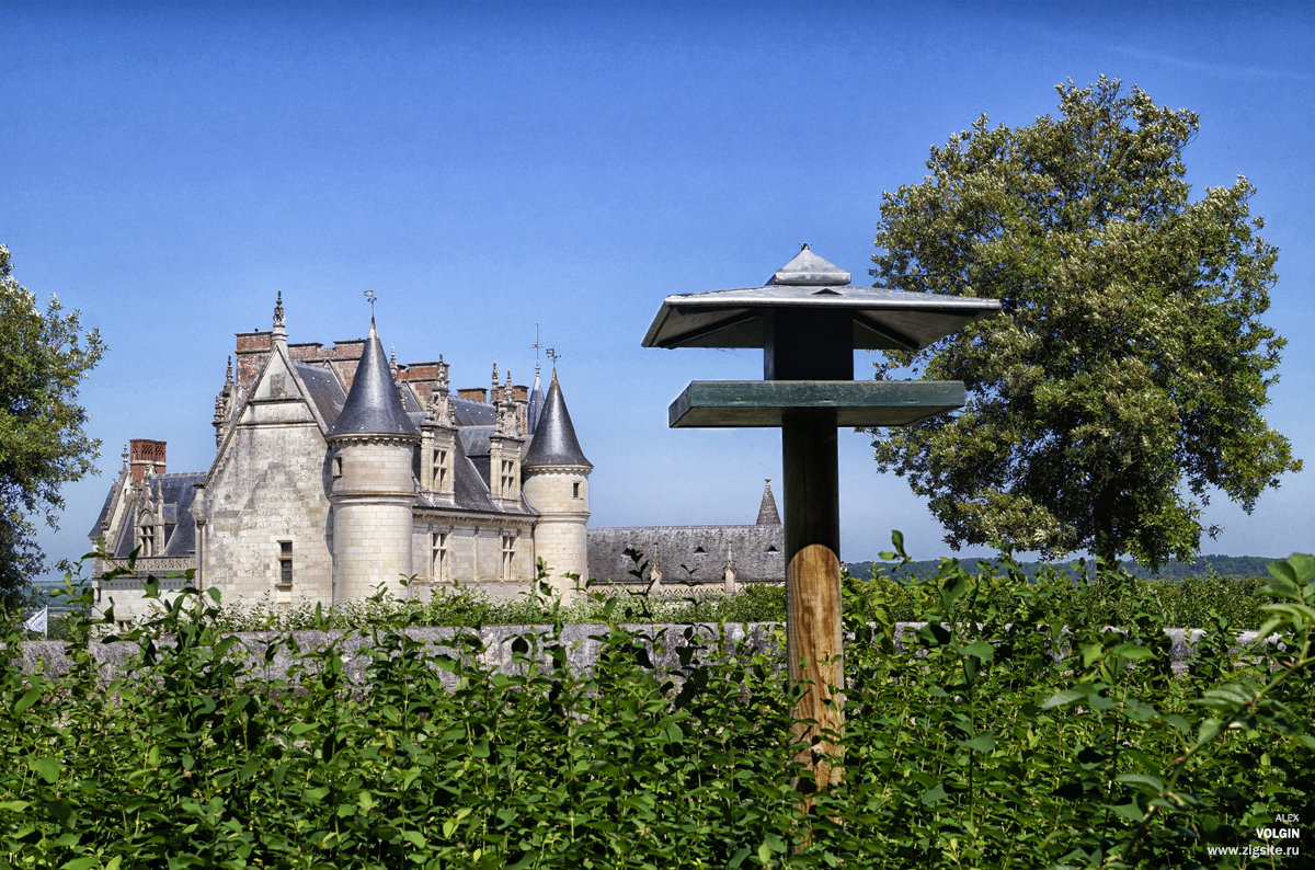 château d'Amboise - Alex 