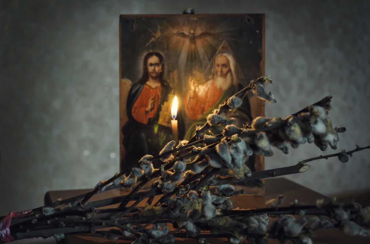 С праздником Вербного Воскресения! - Анатолий Щербак С праздником Вербного Воскресения! - Анатолий Щербак