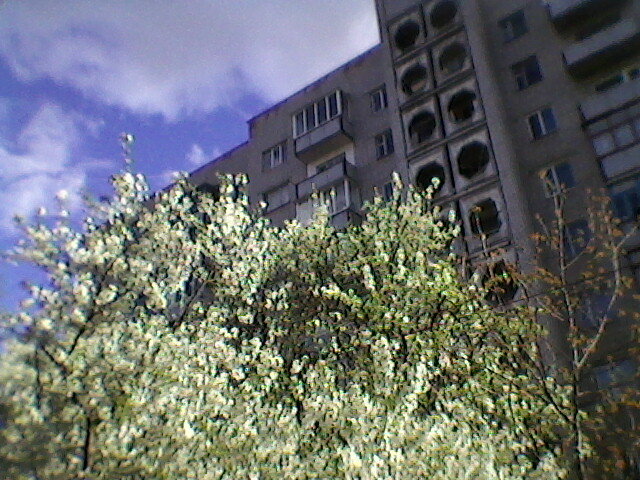 Весна! - Миша Любчик