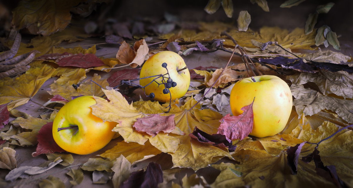 ... - Сергей Фунтовой 