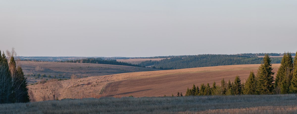 ... - Денис Малых