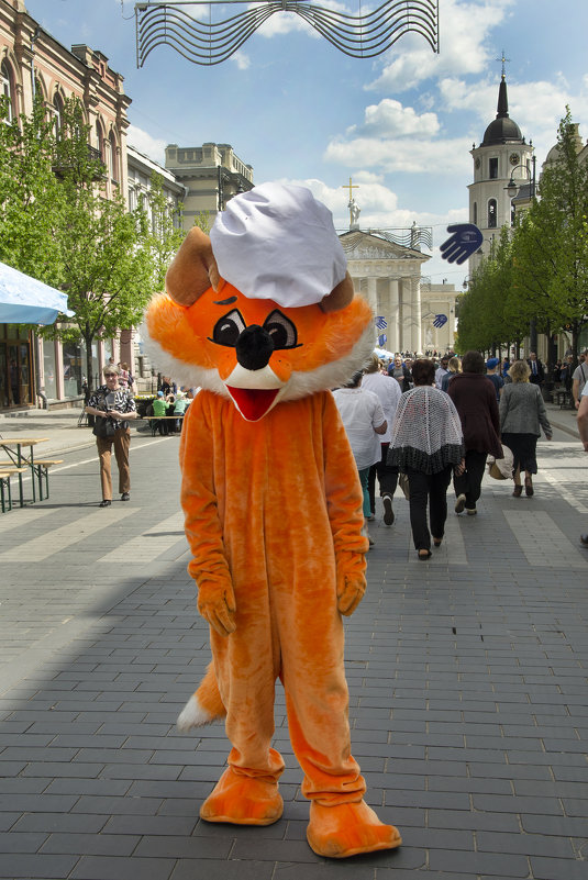 Firefox на прогулке :) - Kliwo Firefox на прогулке :) - Kliwo