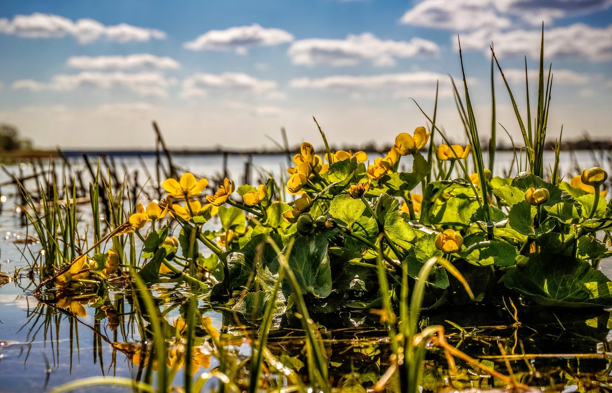 .. - Naty ... .. - Naty ...