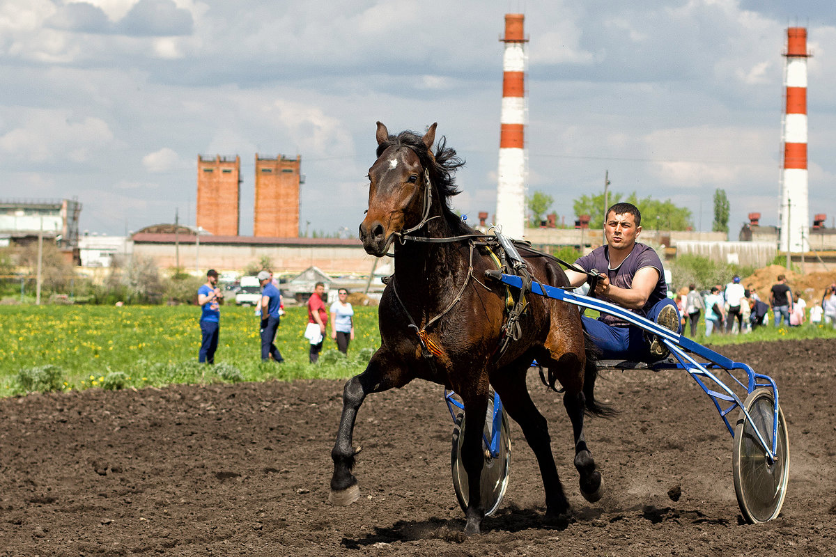 ..... - Елена Лабанова