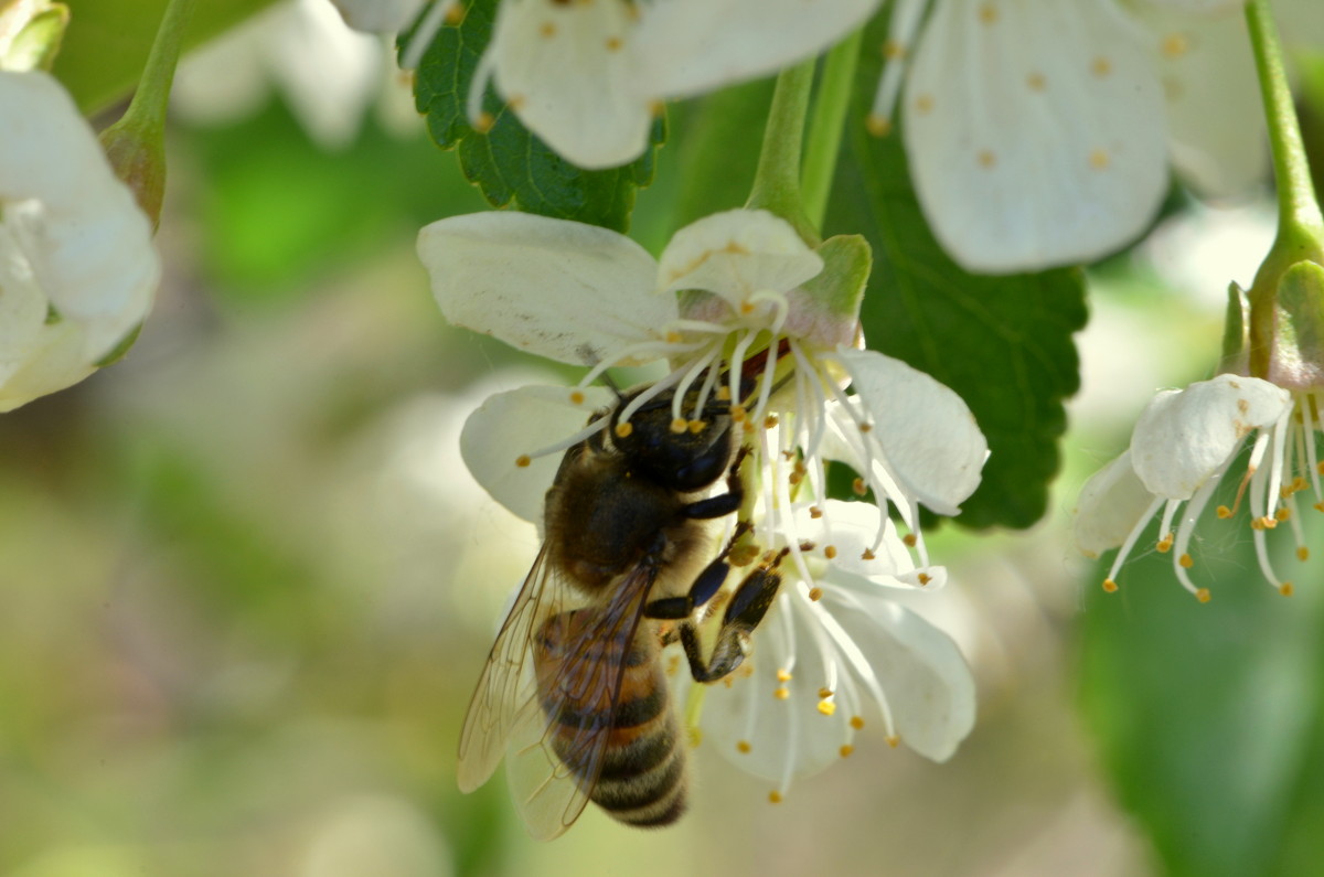 ... - Жанна Мальцева