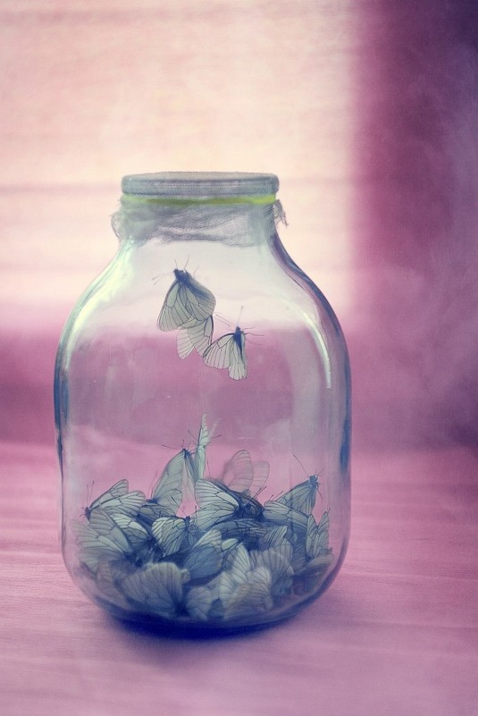 Бабочки - Владислава Чернышева