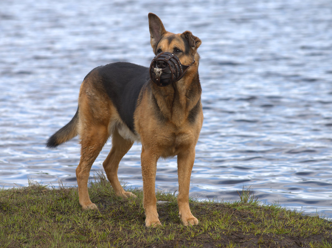 На прогулке - Татьяна Шеркунова