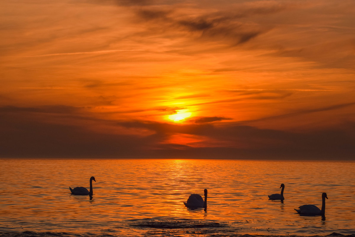 ***** - Лёха Дидус