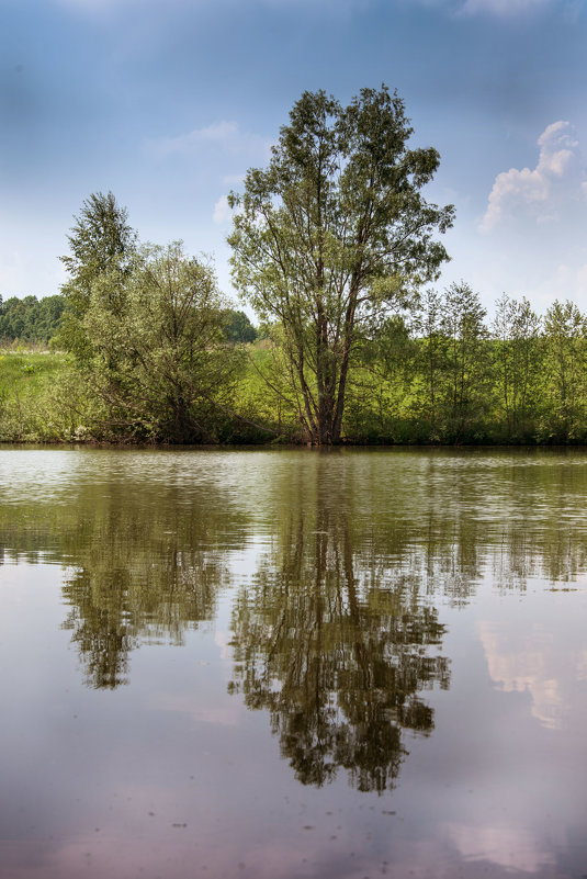 В окрестностях Уфы - Виктор Куприянов 