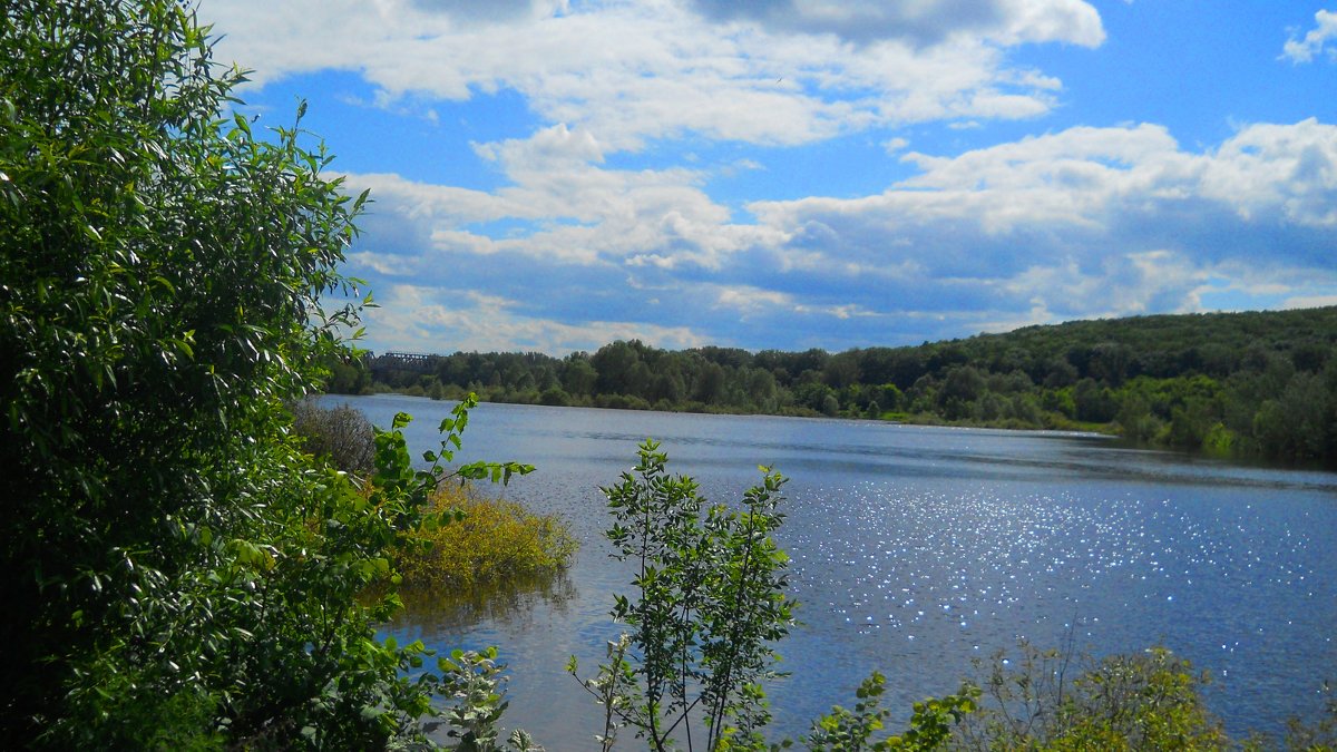 Прогулка к реке - Галина Медведева Прогулка к реке - Галина Медведева