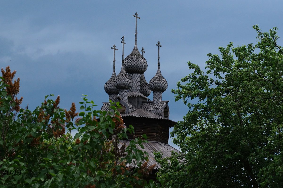 Чудо !!!!! - kolyeretka 