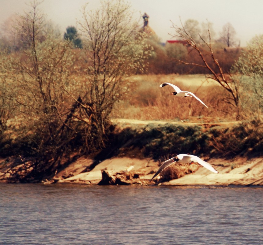 Окрестности Берендеево - Евгений Жиляев Окрестности Берендеево - Евгений Жиляев