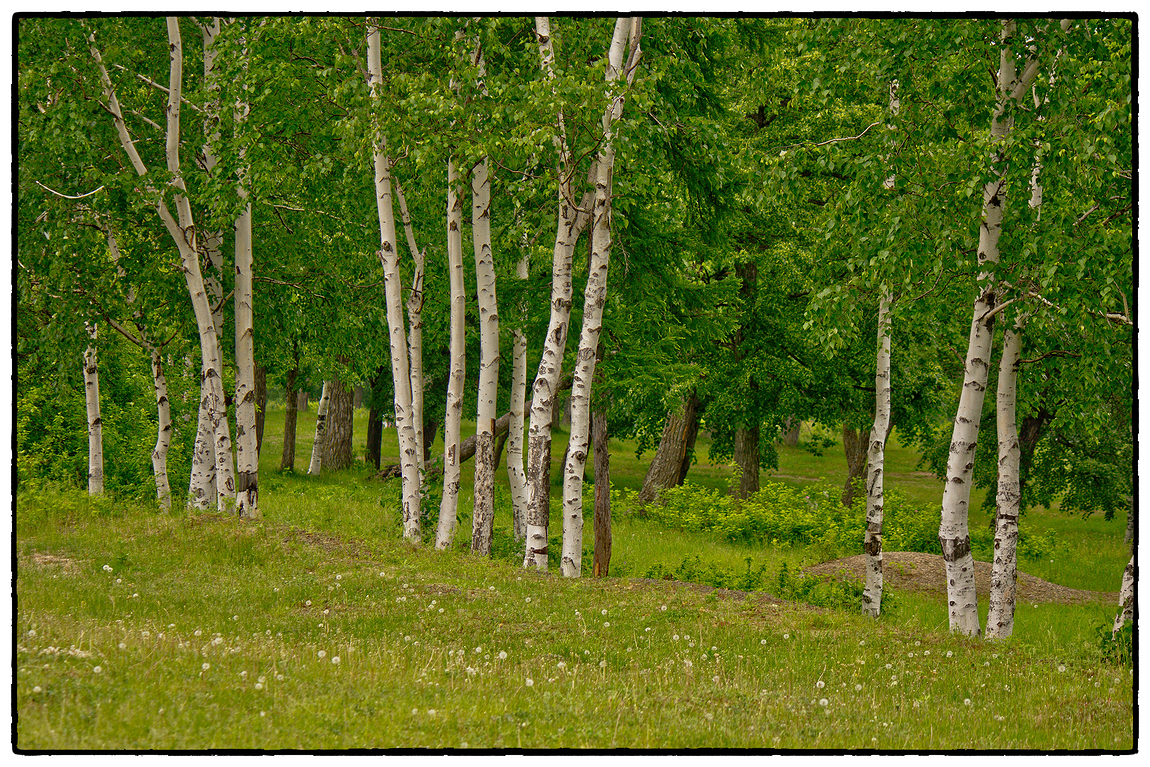 В городском парке - Alexander Antonov