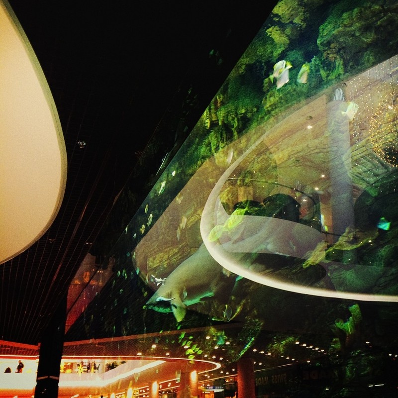 *** - Игорь Филипенко *** - Игорь Филипенко