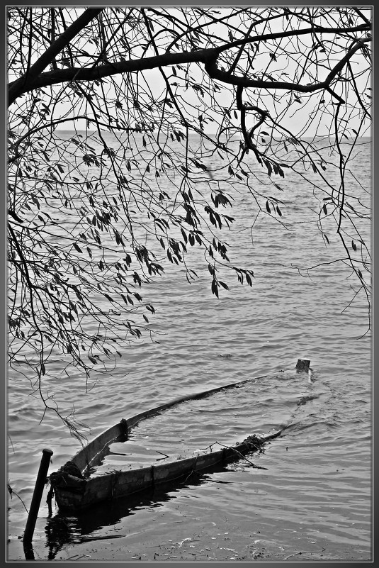 Плещеево озеро - Дмитрий Анцыферов Плещеево озеро - Дмитрий Анцыферов