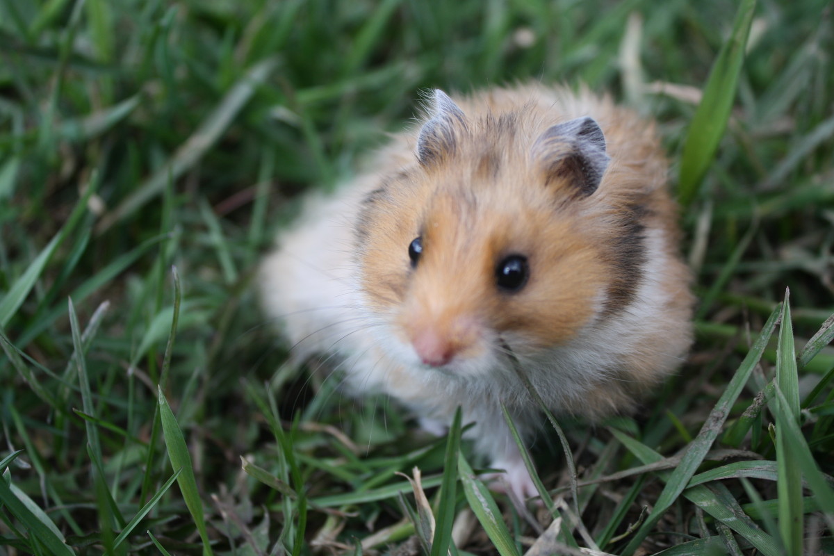 познаём мир)) - Валентина Притула