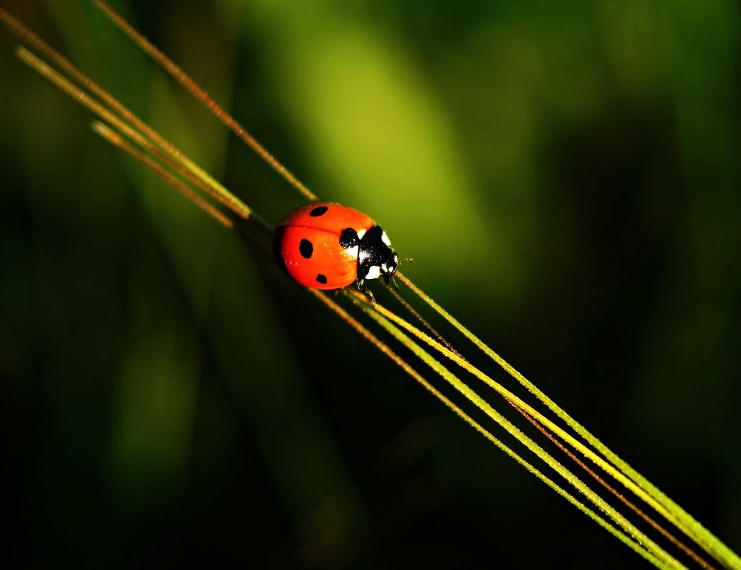 )))... - владимир 