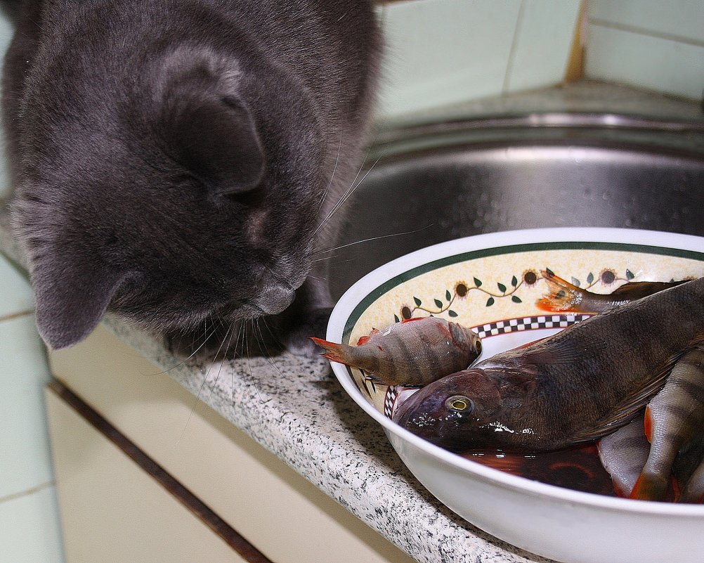 - И что это ?..... - Валерия Полещикова - И что это ?..... - Валерия Полещикова