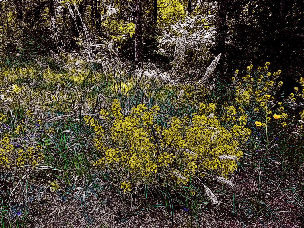 В лесу. - Владимир Кочетков