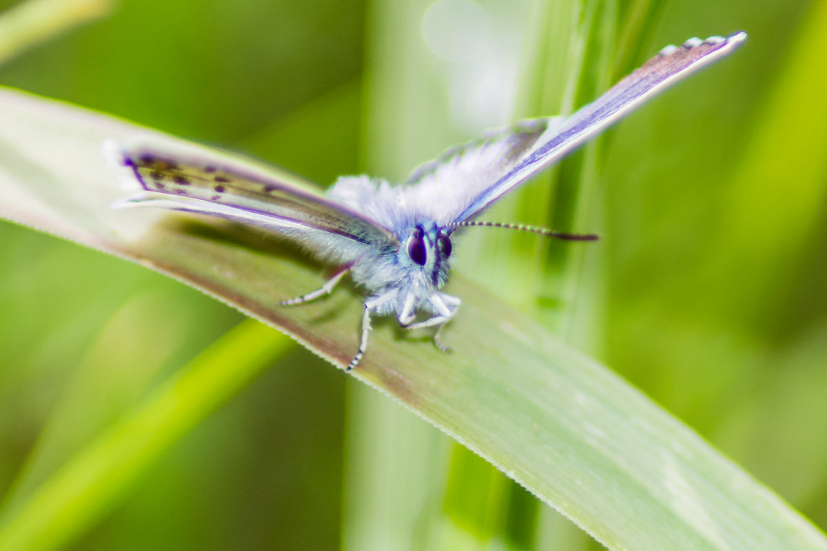 . - Роман Кондрашин