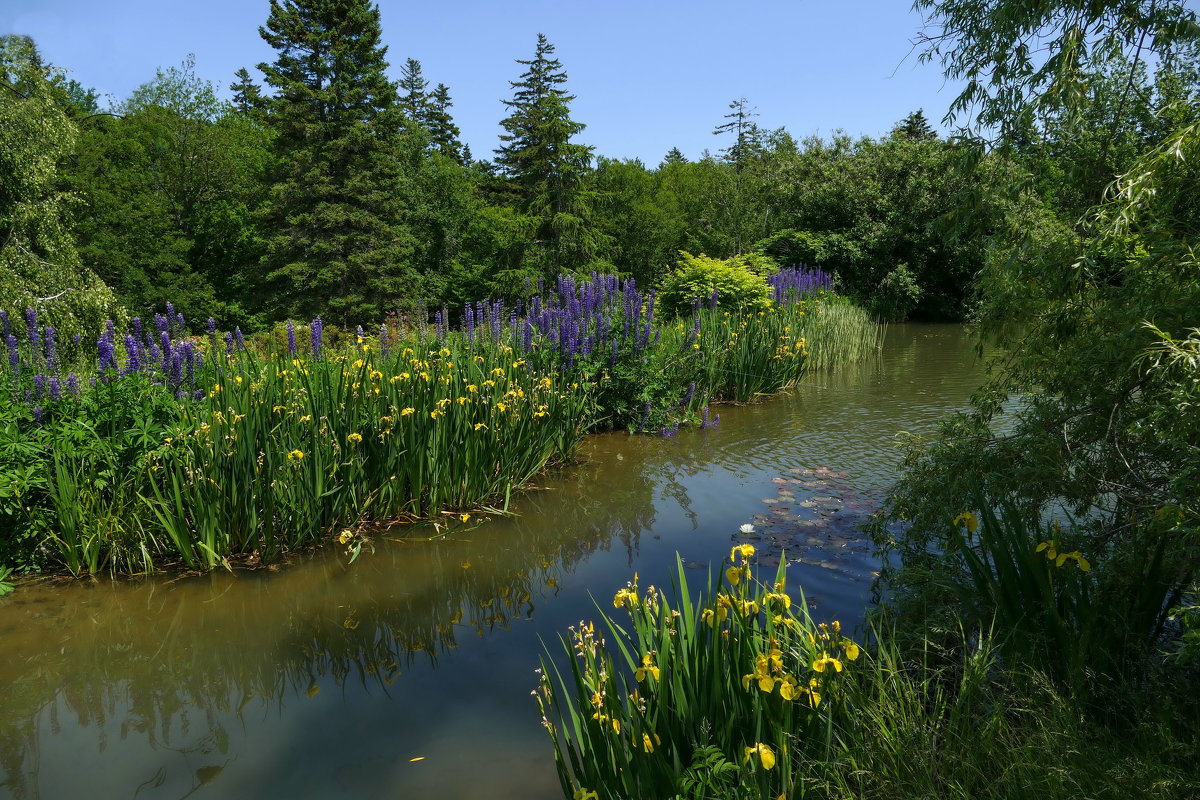 Прогуливаясь по Kingsbrae Gardens (New Brunswick, Canada) - Юрий Поляков