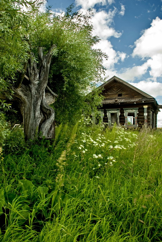 Заброшенный дом - Валерий Толмачев