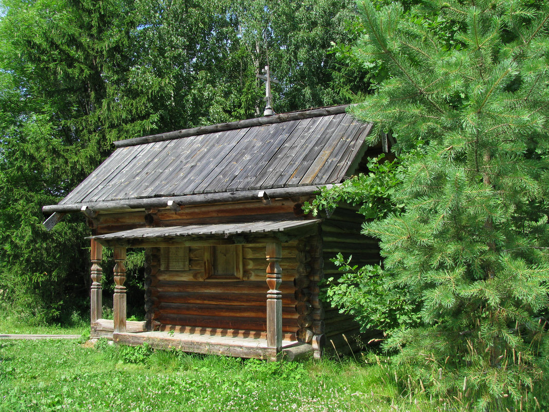 Новгородчина - Наталья 