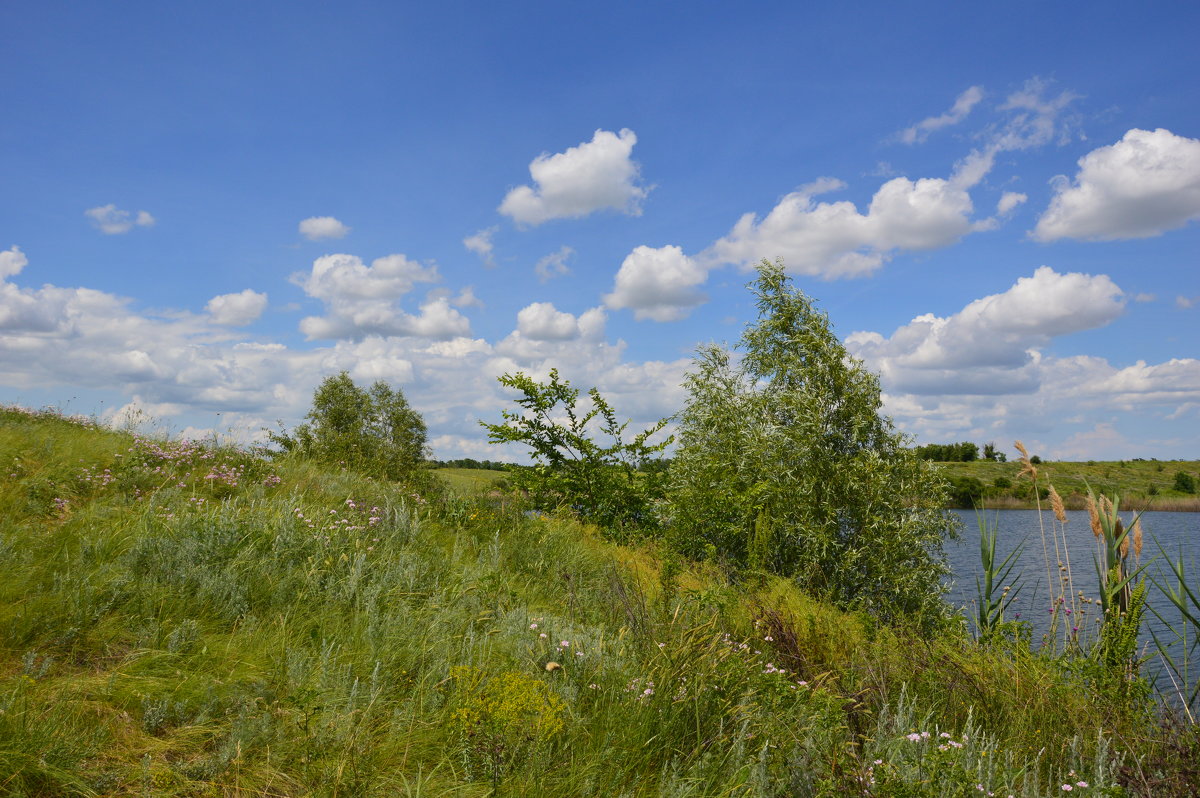Степь в Мае. - Виктор ЖИГУЛИН.