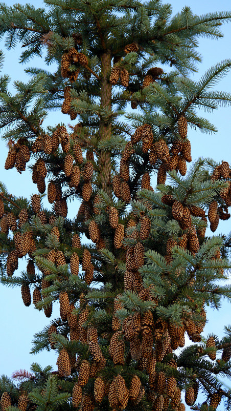 ... - Мих@ил Мель