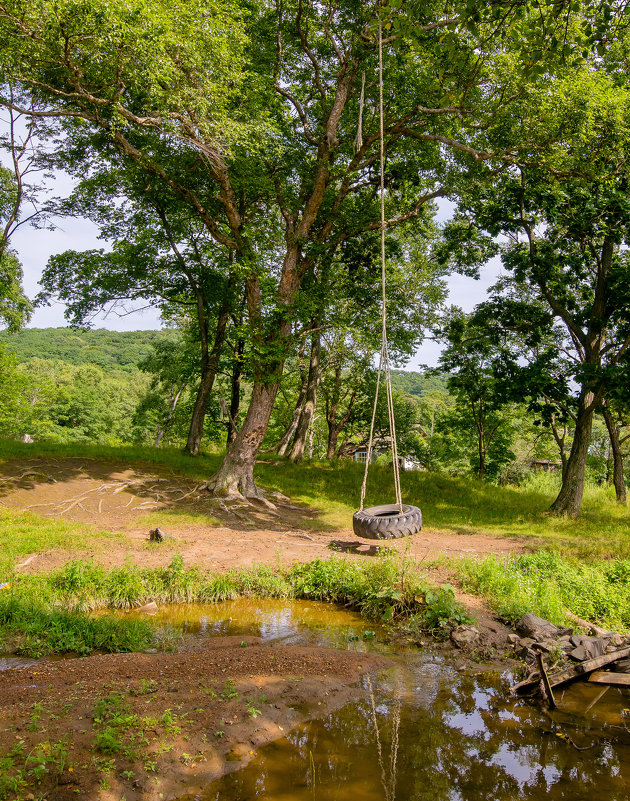 Качели - gegemoon Кот