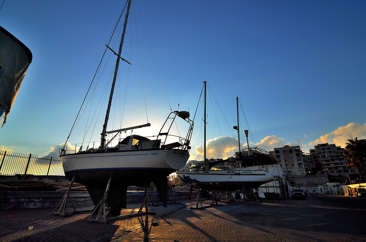 Прогулки по утрам. - Leonid Korenfeld