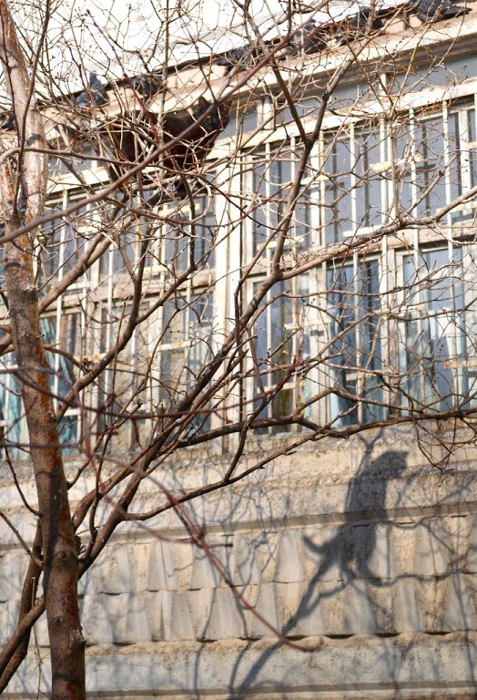 " -Вон пусть тень за меня позирует, а мне недосуг!" или "Тени мартовских котов гуляют - Irina Караулова