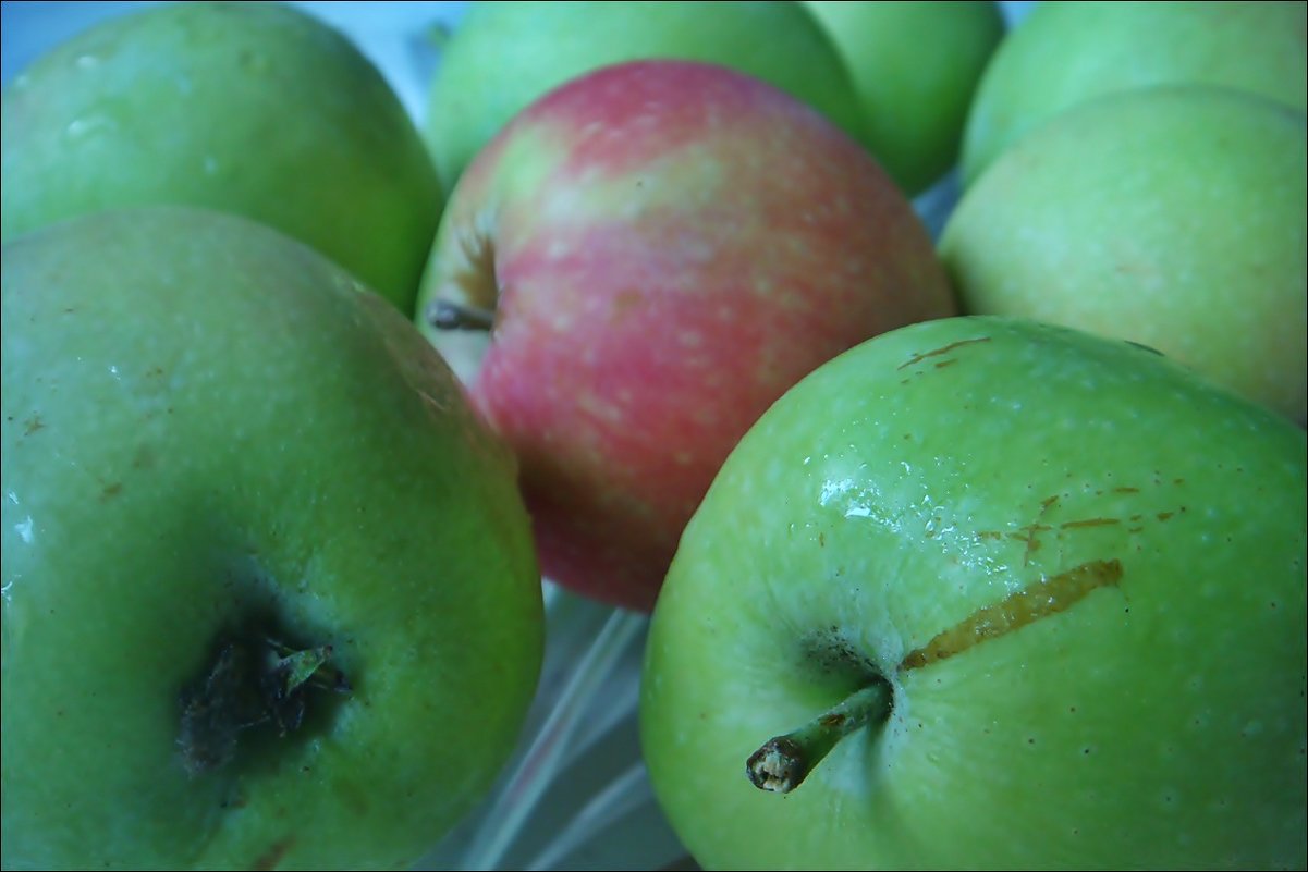 Особенное яблочко - Нина Корешкова