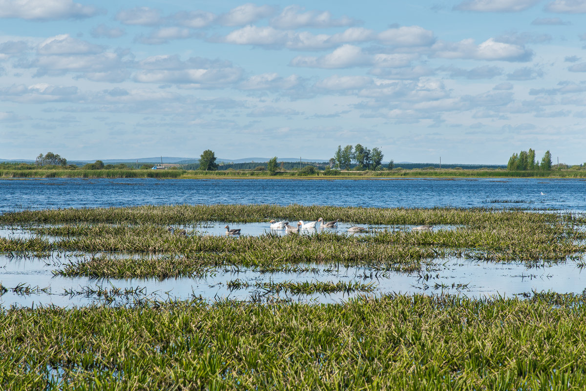 а - Александр К. а - Александр К.