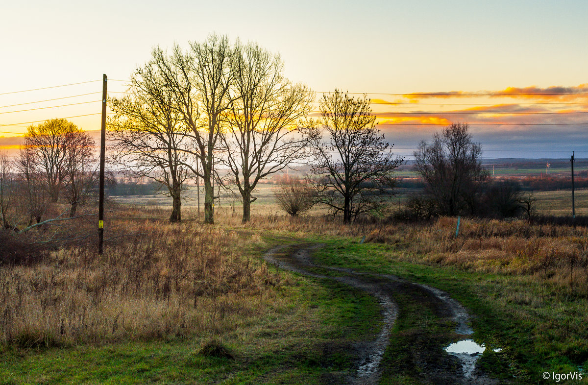 *** - Игорь Вишняков *** - Игорь Вишняков