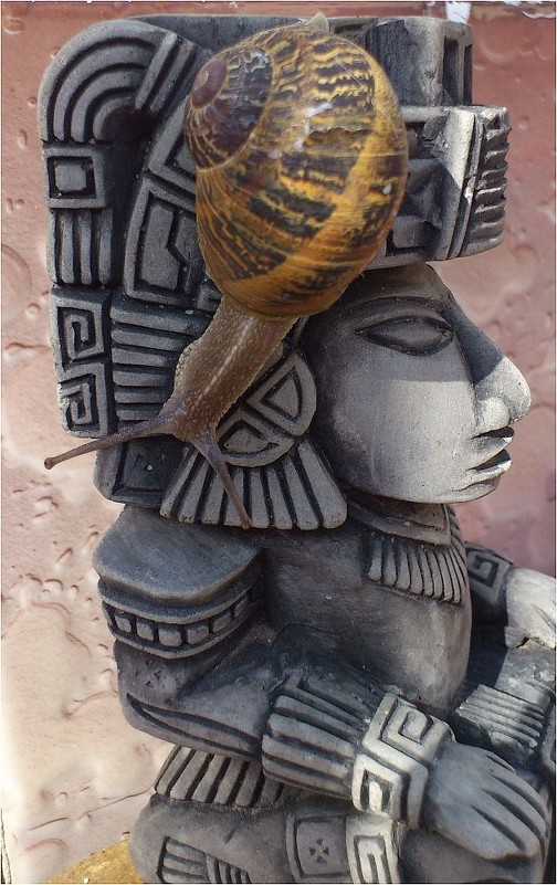 Сплетница. - Наталья Портийо Сплетница. - Наталья Портийо