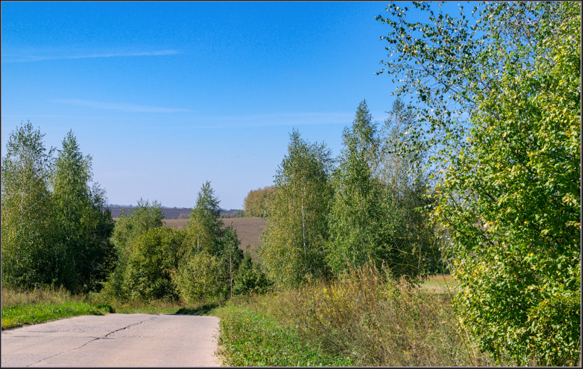 *** - Александр Лихачёв