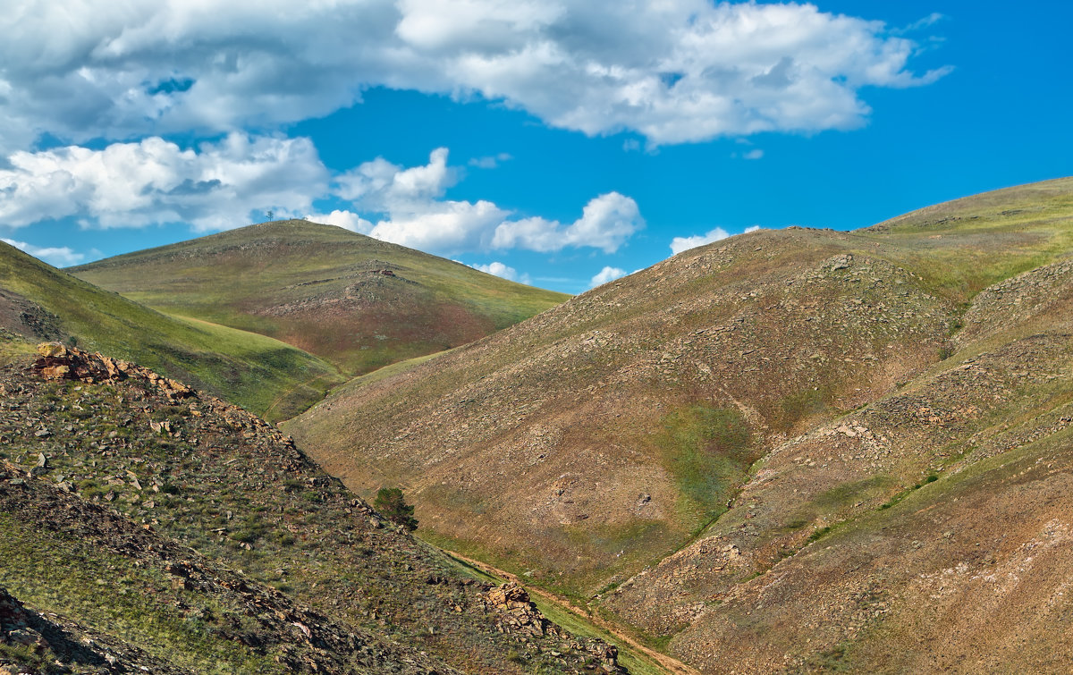 ... - Наталья Дороднова