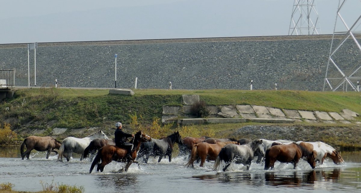 юный табунщик - Анна 