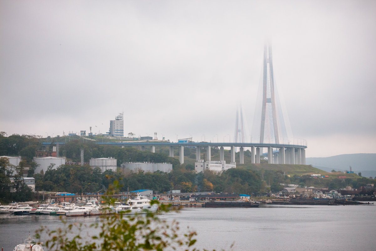 мост на остров Русский - Александр Чупин